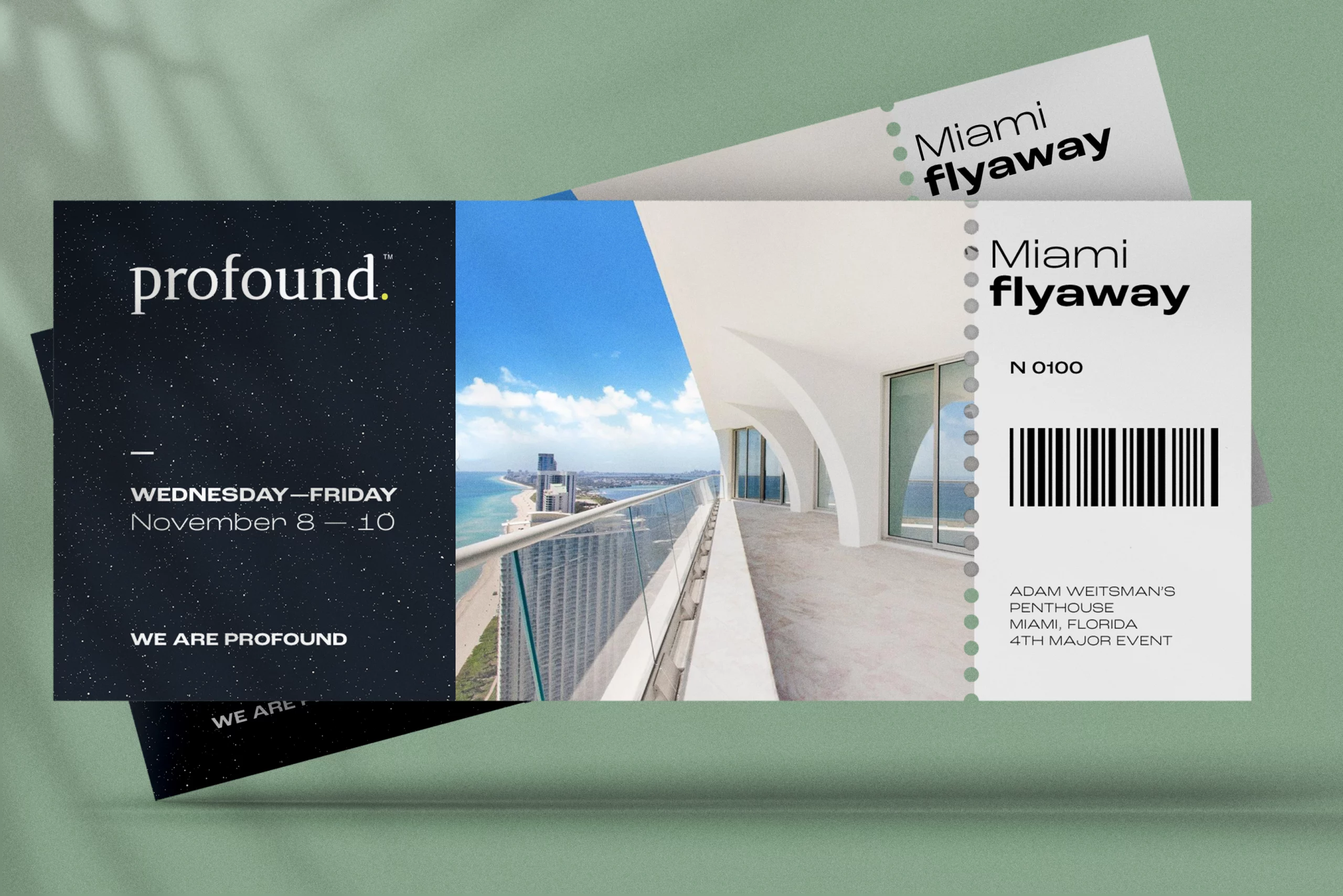 project flyaway